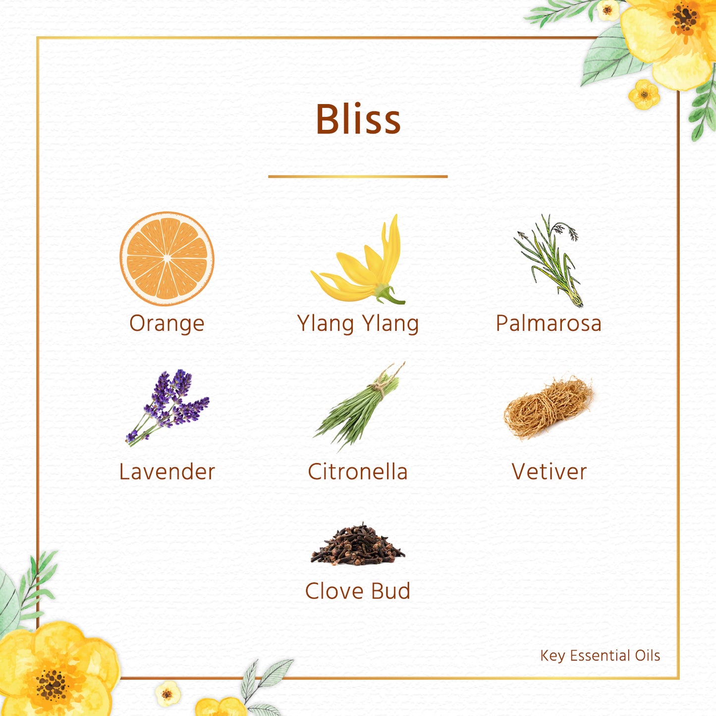 Bliss Aromatherapy Spray 8ml